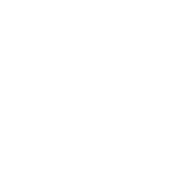Ico Android W