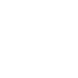 Ico Cpu W